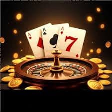 5577bet