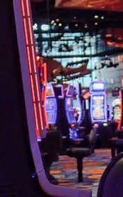 5577bet