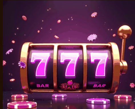 5577bet