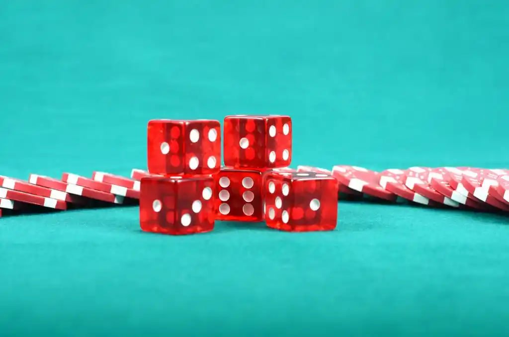 5577bet