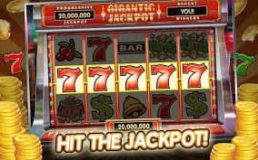 5577bet